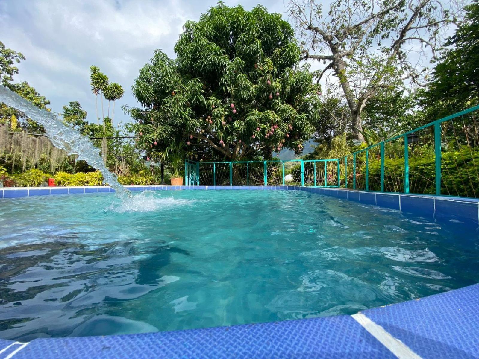 Villa Sonia Eco-Hostel Gigante ภายนอก รูปภาพ
