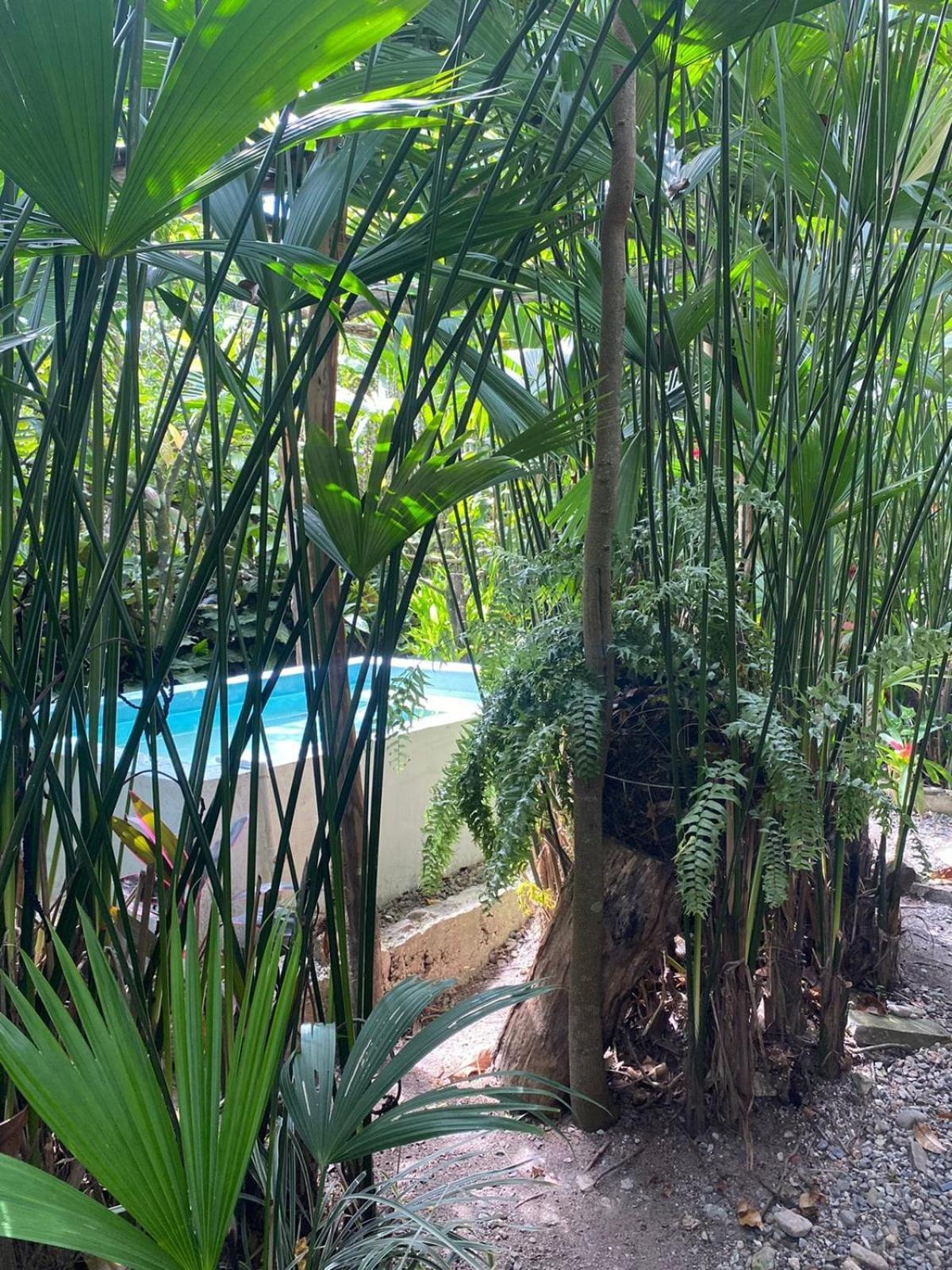 Villa Sonia Eco-Hostel Gigante ภายนอก รูปภาพ