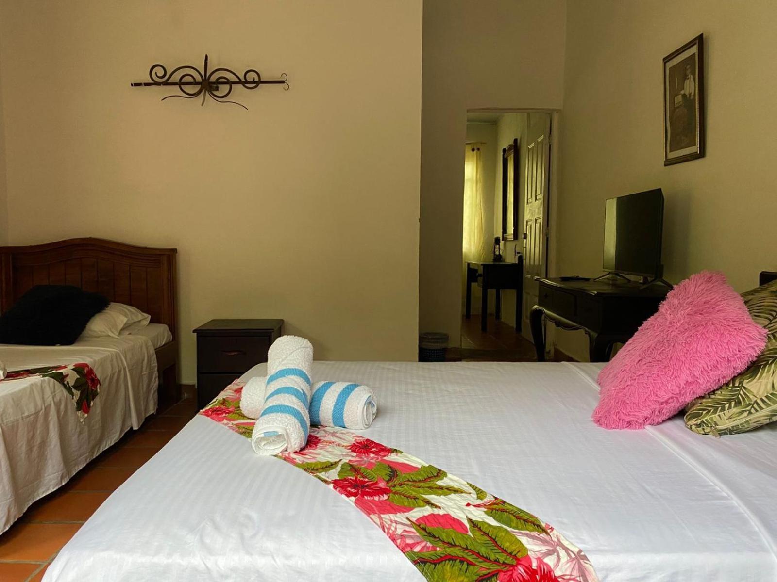 Villa Sonia Eco-Hostel Gigante ภายนอก รูปภาพ