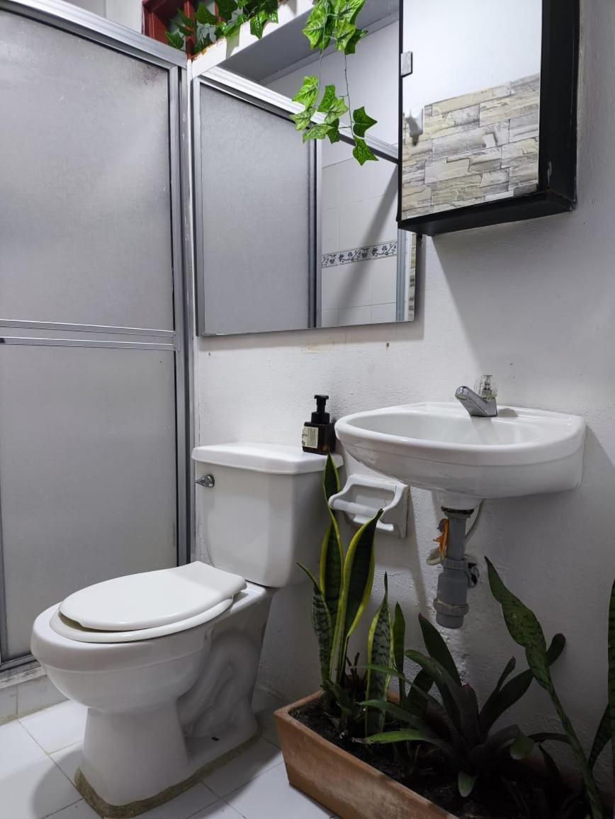 Villa Sonia Eco-Hostel Gigante ภายนอก รูปภาพ