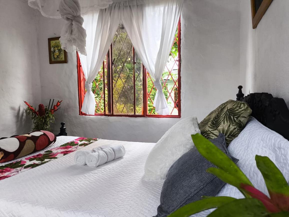 Villa Sonia Eco-Hostel Gigante ภายนอก รูปภาพ